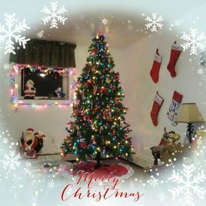 Meet your Posher, Walter